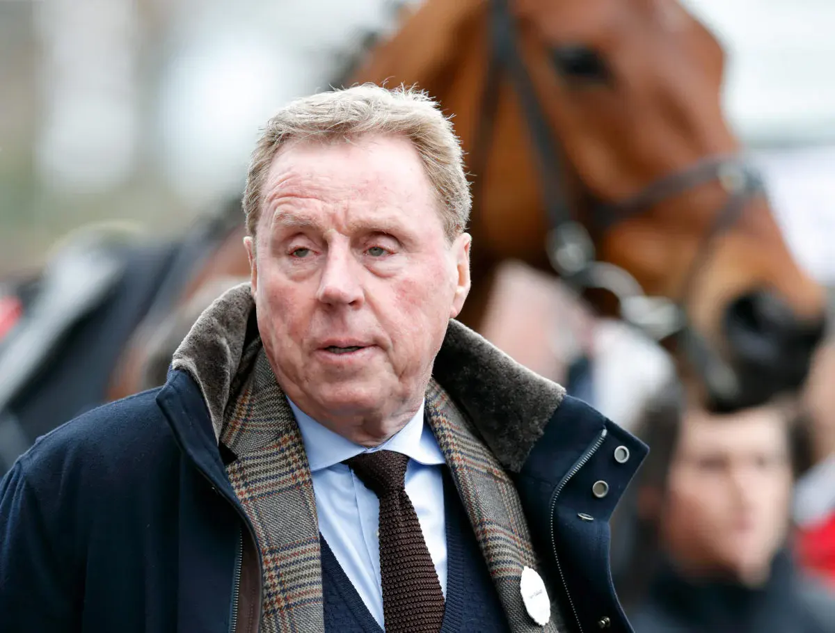 Harry Redknapp says Chelsea should’ve signed £20m West Ham player years ago